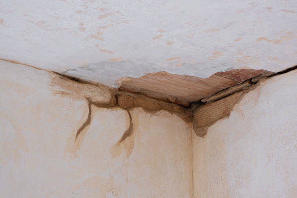 Best Water damage restoration specialists  in King City, CA
