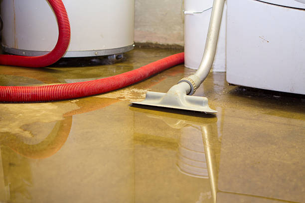 Best Commercial water damage restoration  in King City, CA