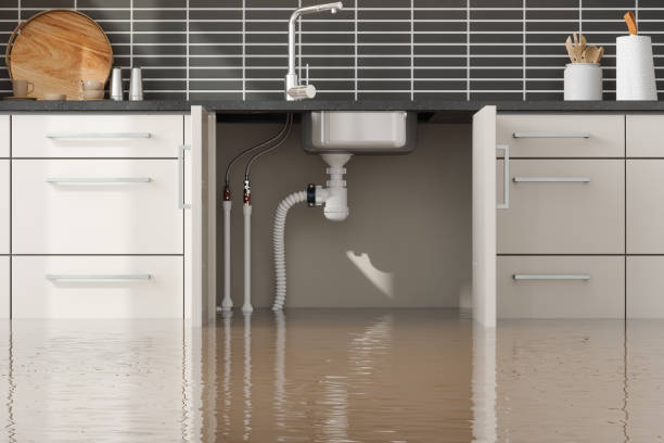 Best Local water damage restoration  in King City, CA